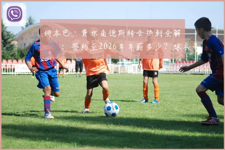 姆本巴·费尔南德斯转会热刺全解析：签约至2026年年薪多少？球衣号码几何？为何波帅选择他