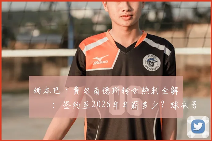 姆本巴·费尔南德斯转会热刺全解析:签约至2026年年薪多少?球衣号码几何?为何波帅选择他